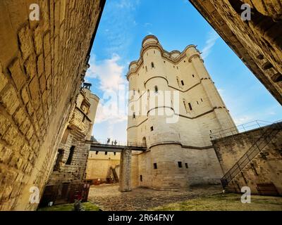 Ponte levatoio di corte del castello di Chateau de Vincennes Foto Stock