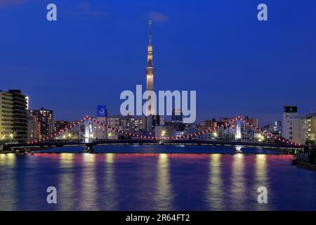 Vista notturna del Ponte Kiyosu e dello Sky Tree Foto Stock