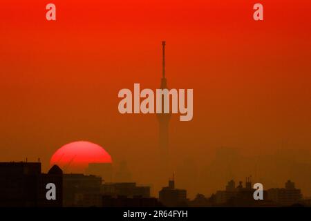 Sole mattutino e Sky Tree Foto Stock