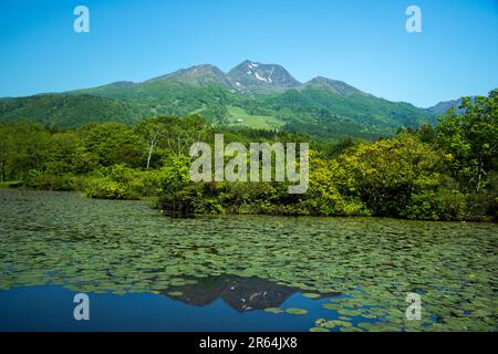 Mt. Myoko e Imori Pond Foto Stock