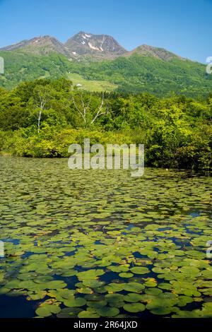 Mt. Myoko e Imori Pond Foto Stock