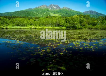 Mt. Myoko e Imori Pond Foto Stock