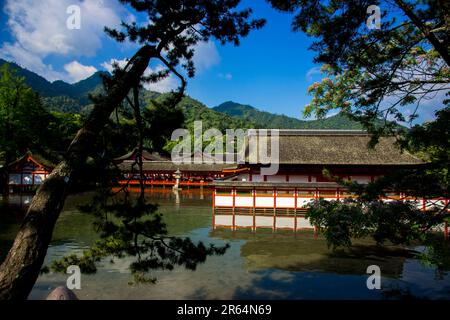 Santuario di Itsukushima Foto Stock