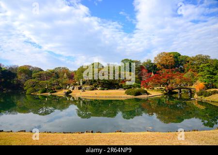 Rikugien in autunno Foto Stock