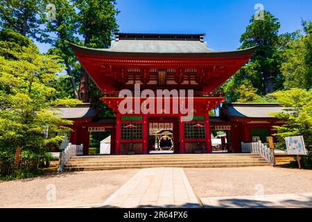 Torre porta del Santuario di Katori Jingu Foto Stock