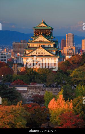 Vista serale del Castello di Osaka nelle foglie autunnali Foto Stock