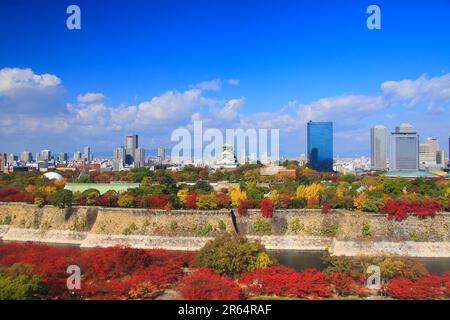 Osaka Castello in autunno foglie Foto Stock