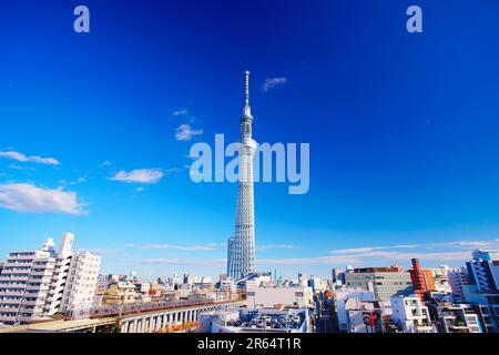 Albero del cielo di Tokyo e linea del cielo di Tobu Foto Stock