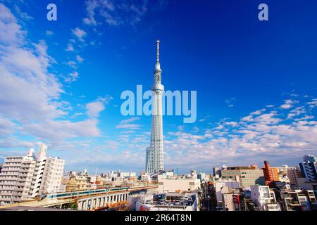 Albero del cielo di Tokyo e linea del cielo di Tobu Foto Stock