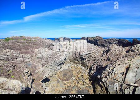 Barriera corallina di strato di turbidite Foto Stock