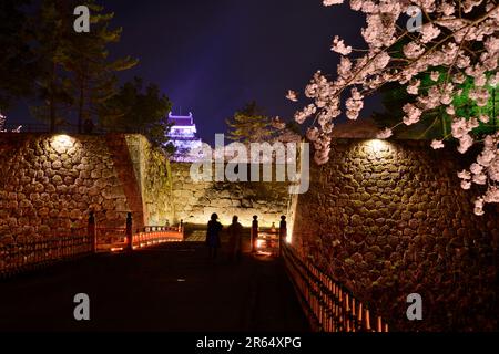 Fiori di ciliegio illuminati nel Parco Tsurugajo Foto Stock