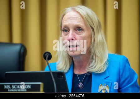 Washington, Stati Uniti. 06th giugno, 2023. House Committee on the Judiciary SubCommittee on the Constitution and Limited Government udendo “il contenzioso del governo e la necessità di una riforma” nel Rayburn House Office Building a Washington, DC, martedì 6 giugno 2023. Foto di Rod Lamkey/CNP/ABACAPRESS.COM Credit: Abaca Press/Alamy Live News Foto Stock