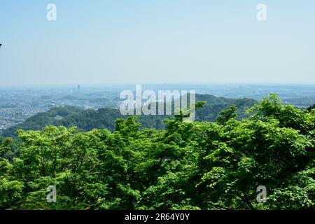 Case viste dal Monte Takao Foto Stock