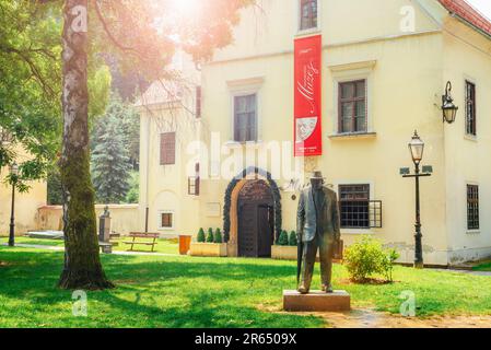 Samobor Croazia - 01 giugno 2023: Monumento di Ivica Sudnik, uno dei più grandi residenti Samobor, e museo della città di Samobor. Foto Stock