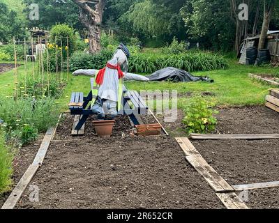 Windsor, Berkshire, Regno Unito. 6th giugno, 2023. Uno spaventapasseri su un'assegnazione a Windsor. Più persone stanno coltivando le loro verdure come il costo di vivere la crisi continua. Credito: Maureen McLean/Alamy Foto Stock