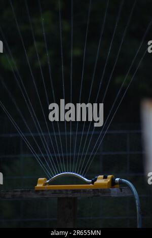 Ruscelli di acqua sparano da un irrigatore oscillante su un piccolo, recentemente piantato giardino domestico. Foto Stock