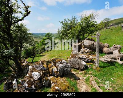 Sentiero pubblico vicino a Cray in Upper Wharfedale Yorkshire Dales National Park North Yorkshire Inghilterra Foto Stock