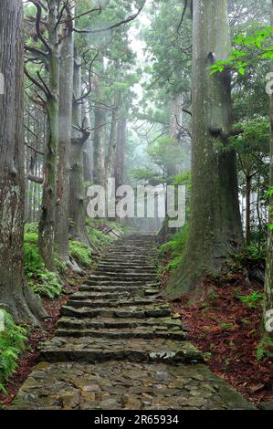 Kumano Nachi montagna daimon pendio Foto Stock