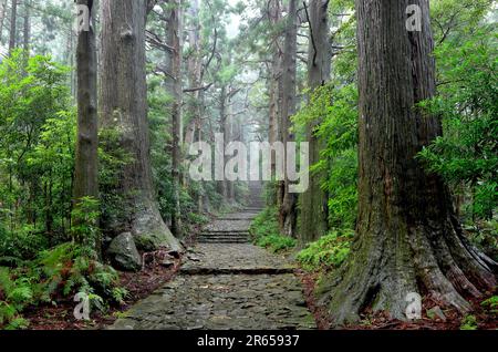 Kumano Nachi montagna daimon pendio Foto Stock