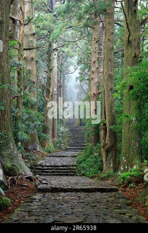 Kumano Nachi montagna daimon pendio Foto Stock