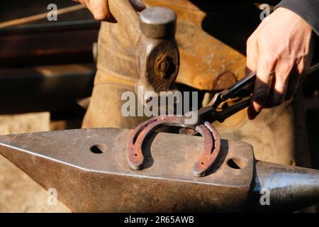 Primo piano di un uomo che usa un martello per formare un ferro di cavallo su un banco di lavoro Foto Stock