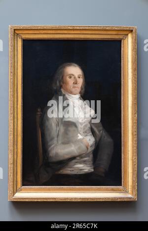 Don Andrés del Peral, prima del 1798 del pittore spagnolo Francisco de Goya, olio su pioppo. La caduta sul lato sinistro del volto di Peral può essere stata un male Foto Stock
