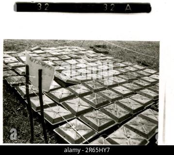 SS Photographer Baumann, Totenkopf Division, Russia 1941 unità di ricognizione gommata, foto di moto, fucili, tombe, prigionieri di guerra e abitanti del villaggio russi, Fieseler Fi 156 Storch, carri armati e attrezzature russe distrutti, costruzione di ponti, soldati che nuotano nel fiume, equipaggio di mitragliatrici, equipaggio di pistole anticarro, cerimonia di premiazione di unità, Unità di marzo, artiglieria trainata da halftrack, unità di manutenzione di veicoli a motore, attività Kriegsberichter, panetteria da campo, ospedale da campo, rifornimento aereo da JU-52, unità di proiettore antiaereo, ufficio postale sul campo, e un Focke-Wulf 189 (Eagle-Owl) in volo. IMA Foto Stock