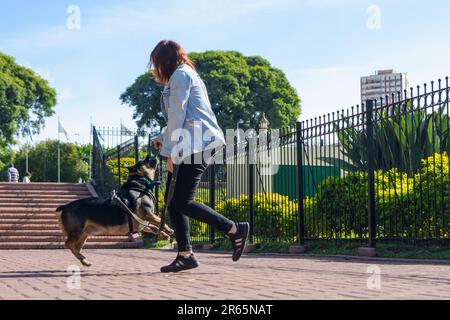 giovane donna irriconoscibile che salta e gioca con il suo cane nel parco, stanno giocando con un giocattolo di masticare di plastica, concetto di animali domestici, spazio di copia. Foto Stock