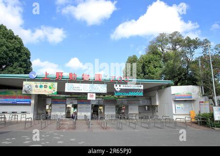 Zoo di Ueno Foto Stock