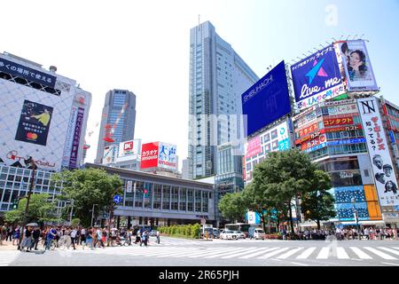 Stazione ferroviaria di Shibuya, Crosswalk Foto Stock