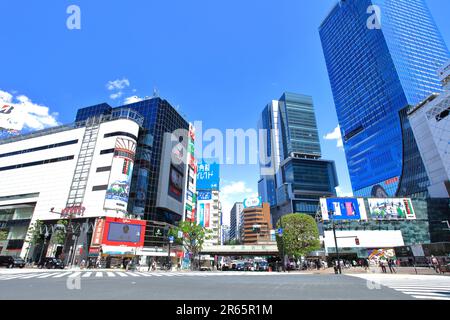 Stazione ferroviaria di Shibuya, Crosswalk Foto Stock