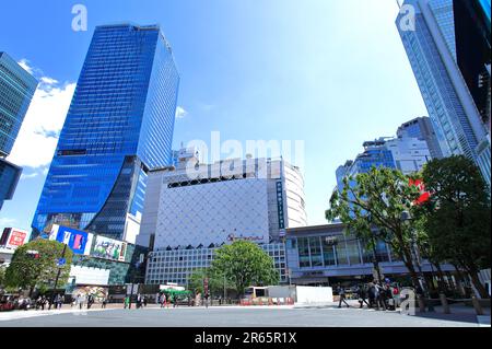 Stazione ferroviaria di Shibuya, Crosswalk Foto Stock