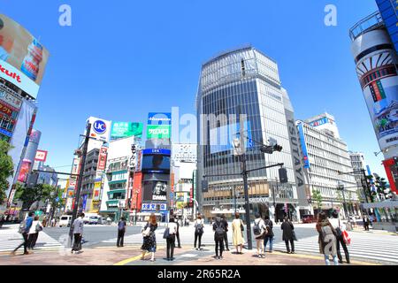 Stazione ferroviaria di Shibuya, Crosswalk Foto Stock