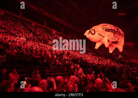 Roger Waters concerto Birmingham Regno Unito 2023 Foto Stock