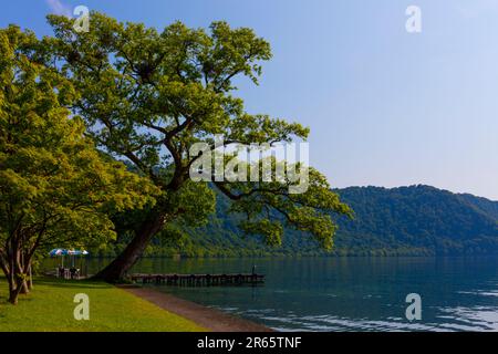 Lago di Towada all'inizio dell'estate Foto Stock