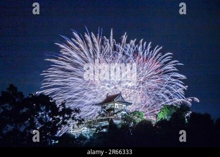 Castello di Inuyama e fuochi d'artificio Foto Stock