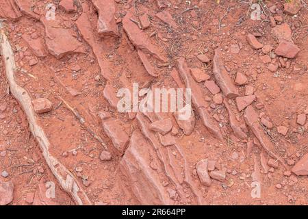 Natura, rocce, texture e flora al Lorax Trail, Carbondale Colorado Foto Stock