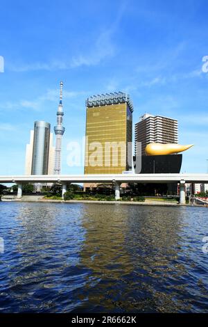 Fiume Sumida e Tokyo Sky Tree Foto Stock