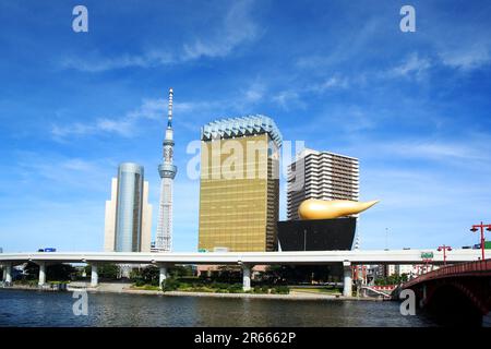 Fiume Sumida e Tokyo Sky Tree Foto Stock