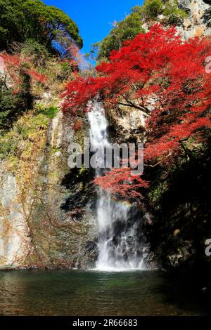 Foglie autunnali di Minoh Great Falls Foto Stock