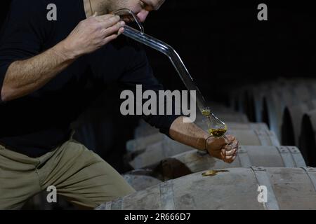 Prelevare un campione di whisky scozzese da un bunghole in botte di rovere, utilizzando una pipetta di campionamento in vetro lunga presso la distilleria Arbikie, Highlands, Scozia. Foto Stock