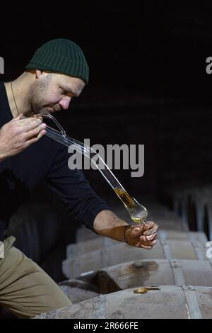 Prelevare un campione di whisky scozzese da un bunghole in botte di rovere, utilizzando una pipetta di campionamento in vetro lunga presso la distilleria Arbikie, Highlands, Scozia. Foto Stock