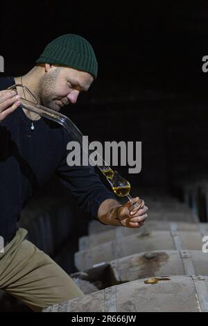 Prelevare un campione di whisky scozzese da un bunghole in botte di rovere, utilizzando una pipetta di campionamento in vetro lunga presso la distilleria Arbikie, Highlands, Scozia. Foto Stock