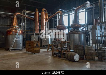 Distilleria Arbikie Highland Estate, Highlands , Montrose, Scozia Foto Stock