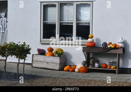 scheletro e zucche fuori casa Foto Stock