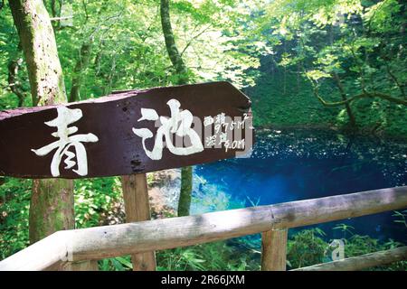 Stagno di Aoike in Shirakami Sanchi Foto Stock