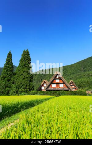 Shirakawa-go in estate Foto Stock