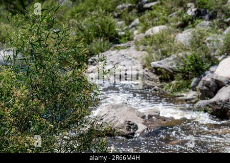 Un fiume panoramico scorre attraverso un terreno roccioso, circondato da alberi lussureggianti e grandi rocce Foto Stock
