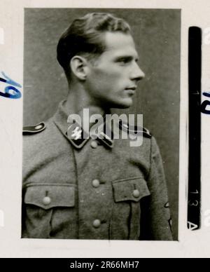 SS Photographer Blaurock, France, Finland 1942-44 SS Soldier ritratto foto, scuttling della flotta francese a Tolone nel novembre 1942, catturato russo anti-aereo pistola, Gebirgsjäger Regiment 11 'Reinhard Heydrich' in campo di formazione, attività quotidiane e ricreative, sfilata, attività, unità di artiglieria pesante Foto Stock