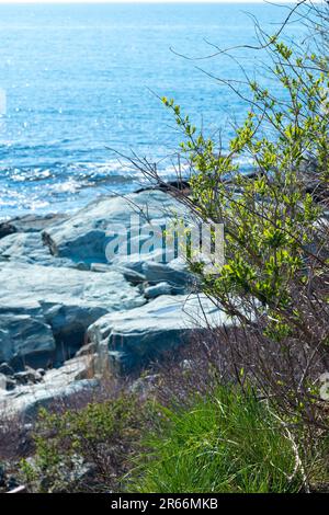 Splendida vista sulle rocce e le acque della baia di Narragansett da Sachuest Point, Middletown, Rhode Island Foto Stock